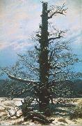 Caspar David Friedrich The Oak Tree in the Snow oil painting reproduction